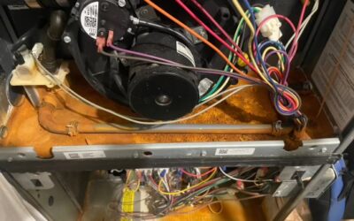 Your Home Inspector Might Not Know What They’re Doing—When To Get a Second Opinion