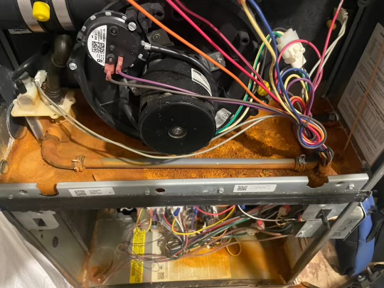Your Home Inspector Might Not Know What They’re Doing—When To Get a Second Opinion